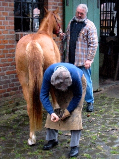 hufbeschlag